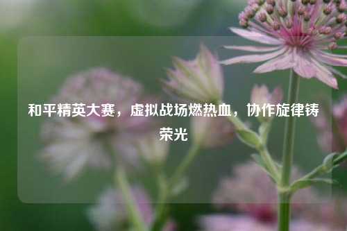 和平精英大赛,虚拟战场燃热血,协作旋律铸荣光