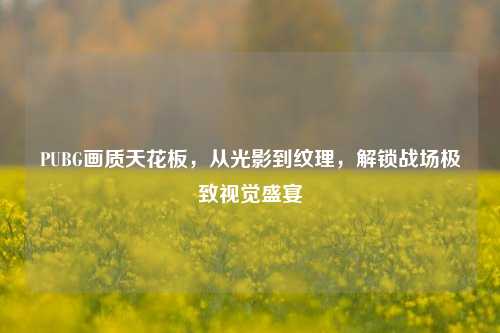 PUBG画质天花板,从光影到纹理,解锁战场极致视觉盛宴