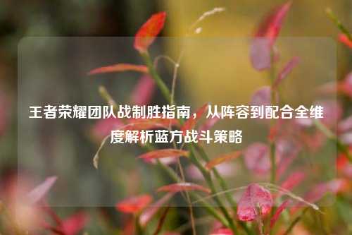 王者荣耀团队战制胜指南,从阵容到配合全维度解析蓝方战斗策略
