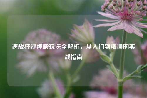 逆战狂沙神殿玩法全解析,从入门到精通的实战指南