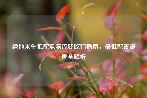 绝地求生低配电脑流畅吃鸡指南,更低配置设置全解析