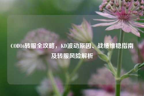 COD16转服全攻略,KD波动原因、战绩维稳指南及转服风险解析