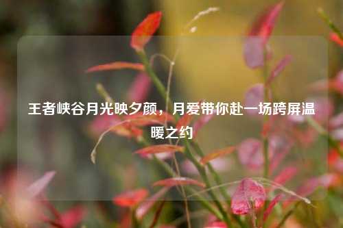 王者峡谷月光映夕颜,月爱带你赴一场跨屏温暖之约