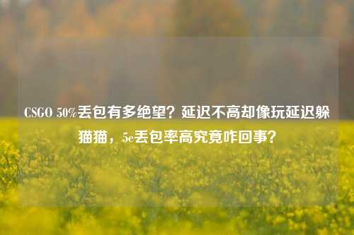 CSGO 50%丢包有多绝望?延迟不高却像玩延迟躲猫猫,5e丢包率高究竟咋回事?