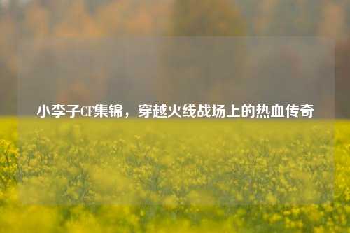 小李子CF集锦,穿越火线战场上的热血传奇
