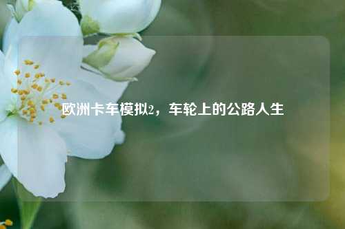 欧洲卡车模拟2,车轮上的公路人生