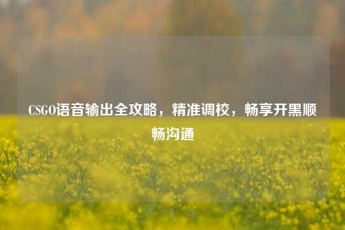 CSGO语音输出全攻略,精准调校,畅享开黑顺畅沟通
