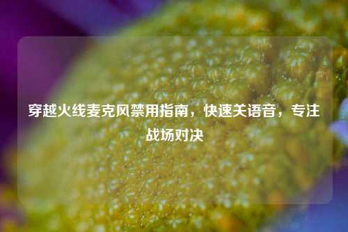 穿越火线麦克风禁用指南,快速关语音,专注战场对决