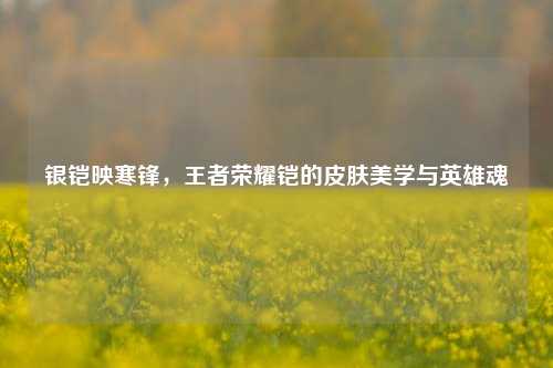 银铠映寒锋,王者荣耀铠的皮肤美学与英雄魂