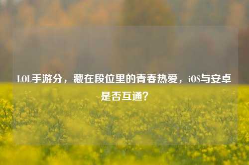 LOL手游分,藏在段位里的青春热爱,iOS与安卓是否互通?