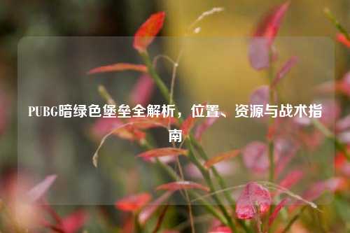 PUBG暗绿色堡垒全解析,位置、资源与战术指南