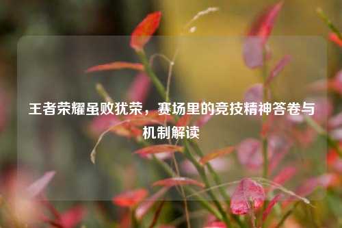 王者荣耀虽败犹荣,赛场里的竞技精神答卷与机制解读