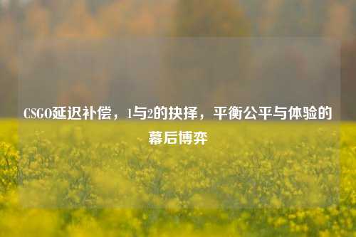 CSGO延迟补偿,1与2的抉择,平衡公平与体验的幕后博弈