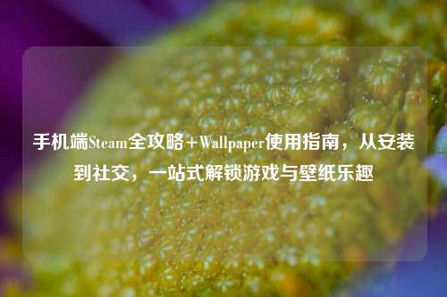 手机端Steam全攻略+Wallpaper使用指南,从安装到社交,一站式解锁游戏与壁纸乐趣