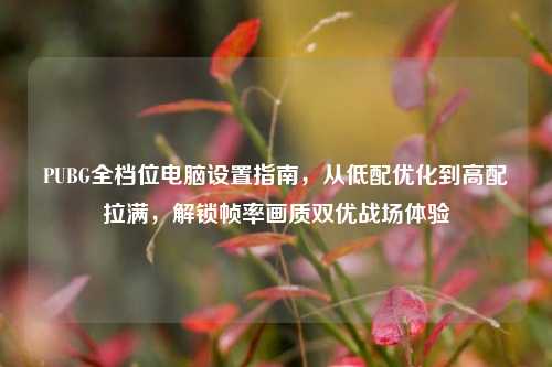 PUBG全档位电脑设置指南,从低配优化到高配拉满,解锁帧率画质双优战场体验