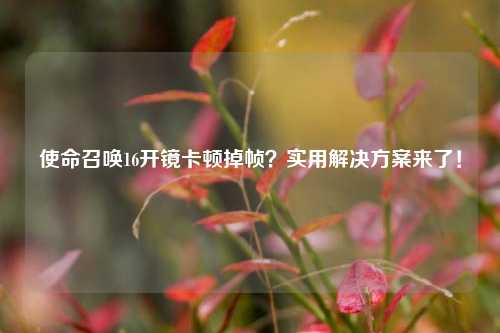 使命召唤16开镜卡顿掉帧?实用解决方案来了!