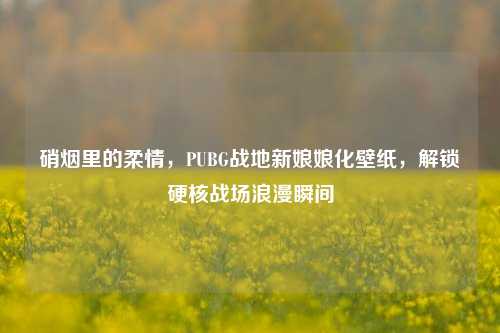 硝烟里的柔情,PUBG战地新娘娘化壁纸,解锁硬核战场浪漫瞬间