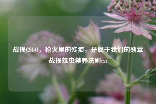 战损CSGO,枪火里的残痕,是属于我们的勋章战损雄虫禁养法则txt