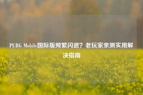 PUBG Mobile国际版频繁闪退?老玩家亲测实用解决指南