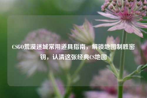 CSGO荒漠迷城常用道具指南,解锁地图制胜密钥,认清这张经典CS地图