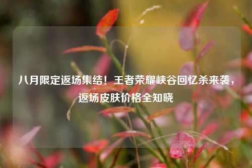 八月限定返场集结!王者荣耀峡谷回忆杀来袭,返场皮肤价格全知晓