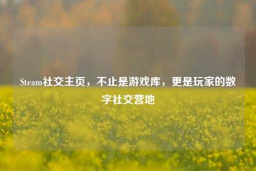 Steam社交主页,不止是游戏库,更是玩家的数字社交营地