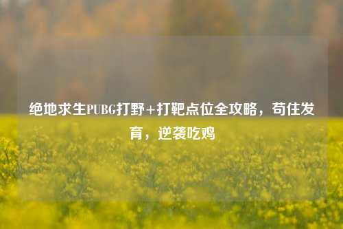 绝地求生PUBG打野+打靶点位全攻略,苟住发育,逆袭吃鸡
