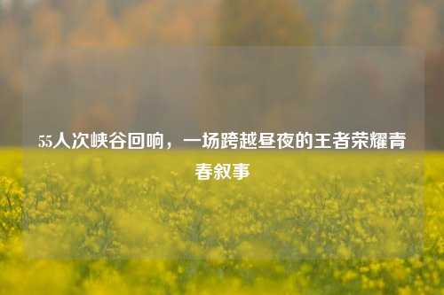 55人次峡谷回响,一场跨越昼夜的王者荣耀青春叙事