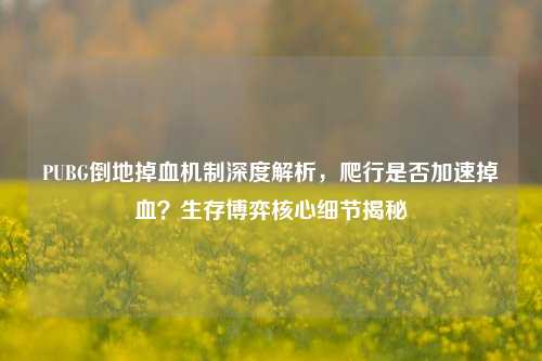 PUBG倒地掉血机制深度解析,爬行是否加速掉血?生存博弈核心细节揭秘