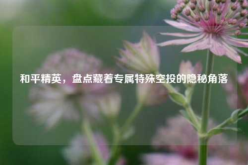 和平精英,盘点藏着专属特殊空投的隐秘角落