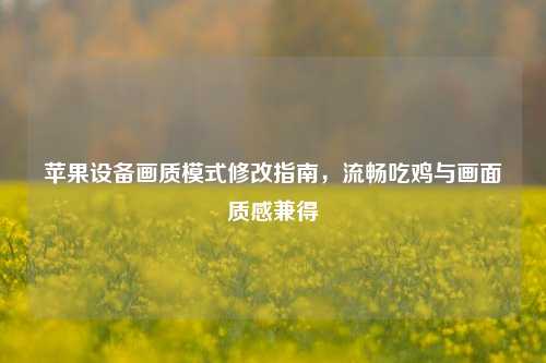 苹果设备画质模式修改指南,流畅吃鸡与画面质感兼得