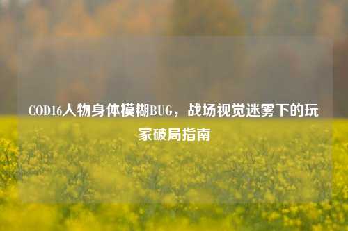 COD16人物身体模糊BUG,战场视觉迷雾下的玩家破局指南