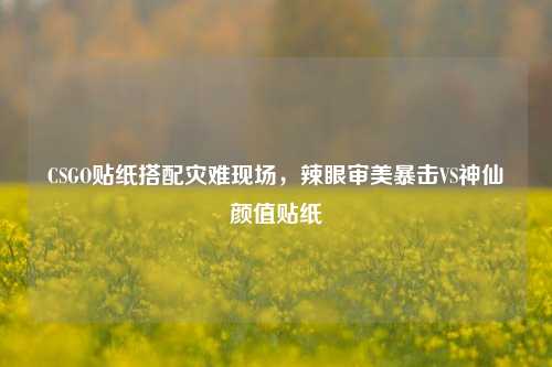 CSGO贴纸搭配灾难现场,辣眼审美暴击VS神仙颜值贴纸