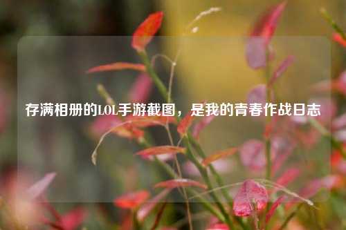 存满相册的LOL手游截图,是我的青春作战日志