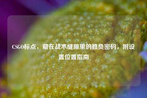 CSGO标点,藏在战术缝隙里的胜负密码,附设置位置指南