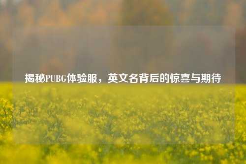 揭秘PUBG体验服,英文名背后的惊喜与期待