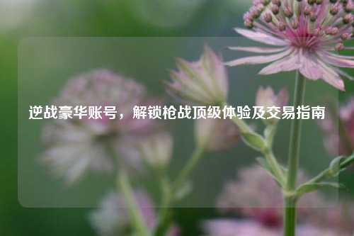 逆战豪华账号,解锁枪战顶级体验及交易指南