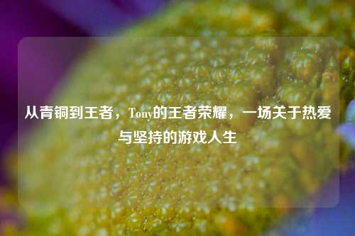 从青铜到王者,Tony的王者荣耀,一场关于热爱与坚持的游戏人生