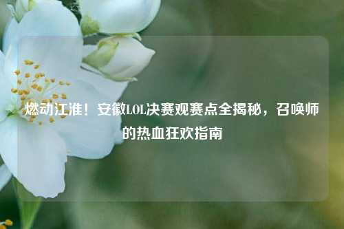燃动江淮!安徽LOL决赛观赛点全揭秘,召唤师的热血狂欢指南