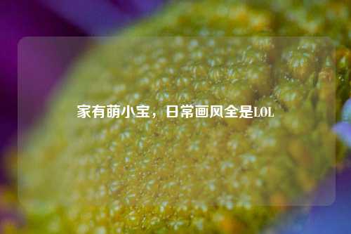 家有萌小宝,日常画风全是LOL