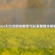 CSGO大行动奖励概率与玩家策略全解析