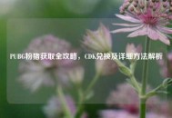 PUBG粉猪获取全攻略，CDK兑换及详细     解析