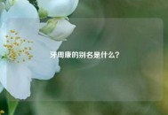 牙周康的别名是什么？
