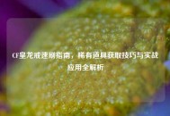 CF皇龙戒速刷指南，稀有道具获取技巧与实战应用全解析