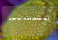 高效放松法，忙碌生活中的解压秘诀