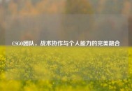 CSGO团队，战术协作与个人能力的完美融合