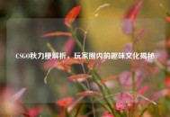 CSGO秋力梗解析，玩家圈内的趣味文化揭秘