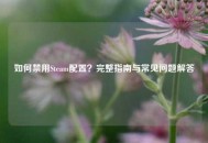 如何禁用Steam配置？完整指南与常见问题解答
