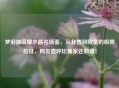 梦泪抽荣耀水晶名场面，从非酋到欧皇的极限拉扯，网友直呼比偷家还     ！