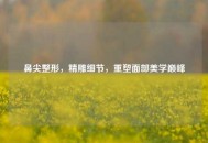 鼻尖整形，精雕细节，重塑面部美学巅峰